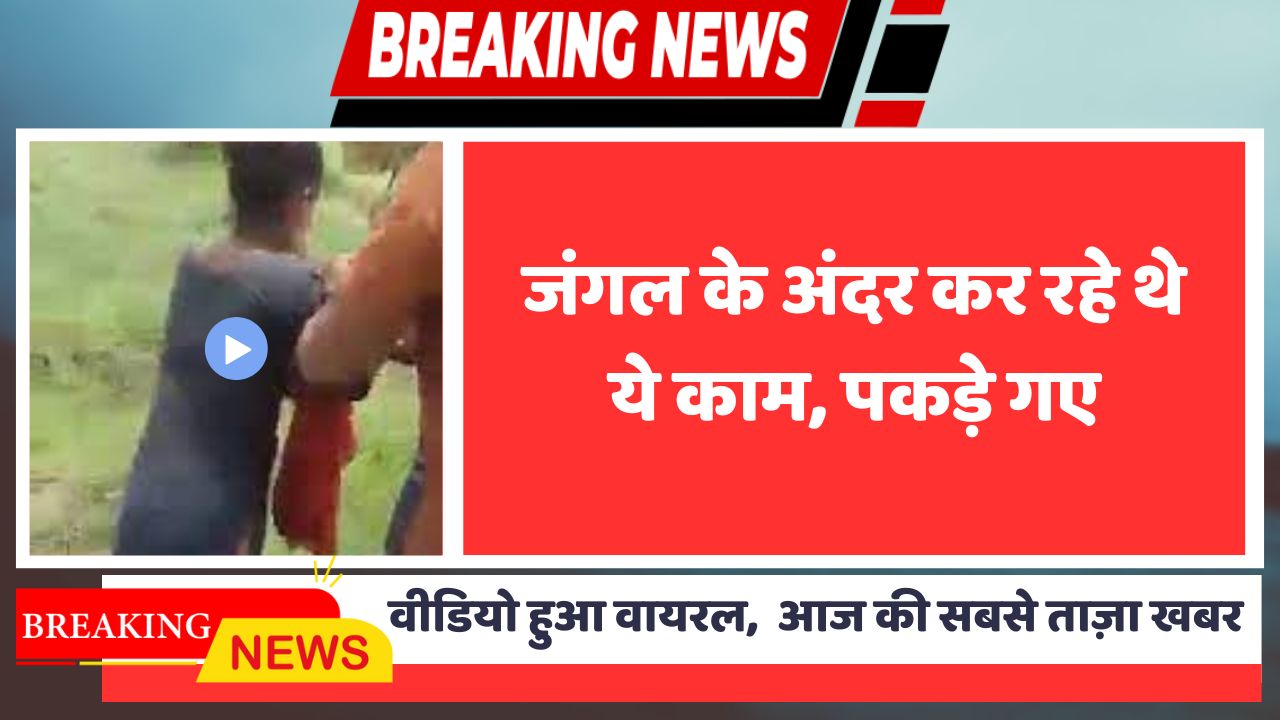 7 days jio recharge plan: Jio ₹2999 Combo with NightData and Unlimited Calling